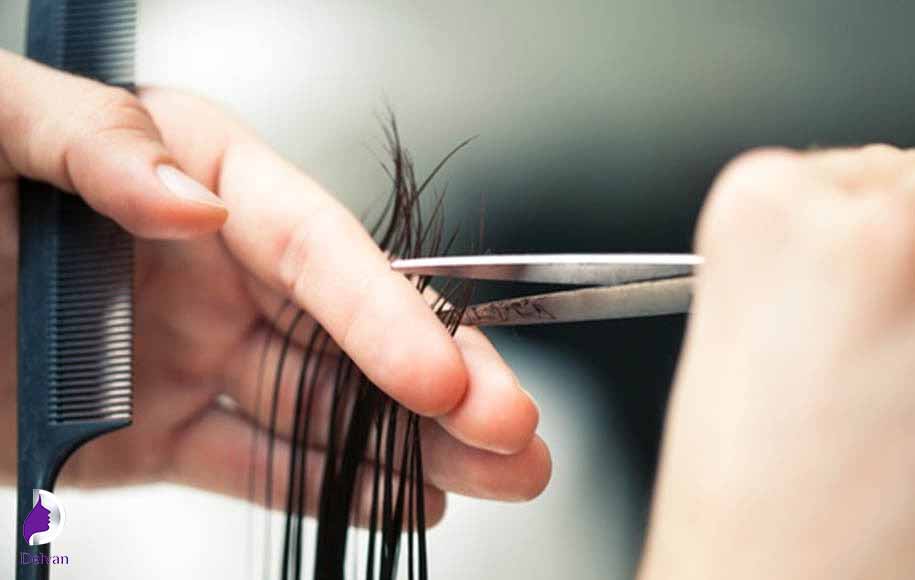 اصلاح و پیرایش بعد از کاشت مو